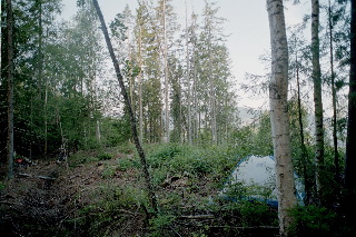 Norwegen 2002